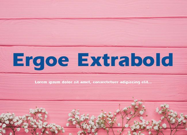 Ergoe Extrabold example